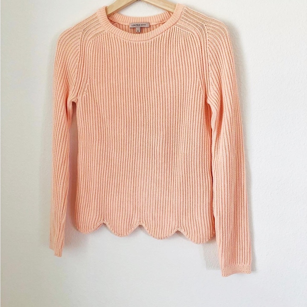 Knit Sweater Limited Edition sz 10